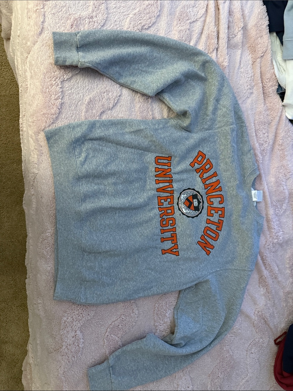 Champion Gray Princeton University Crewneck Sweatshirt with Orange Logo - Picture 1 of 2
